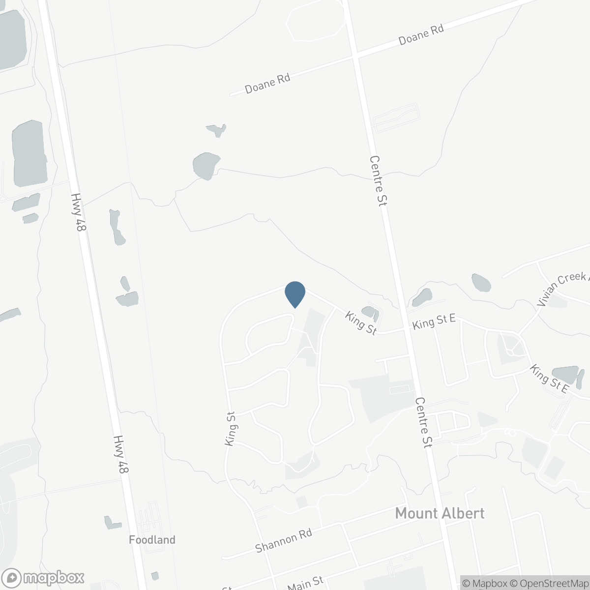 195 KING STREET, East Gwillimbury, Ontario L0G 1M0